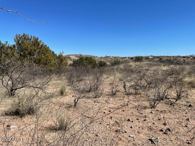 205 Calle Ranaculo, Unit 86 Rio Rico, AZ 85648 - Photo 3 of 6 level southeast view