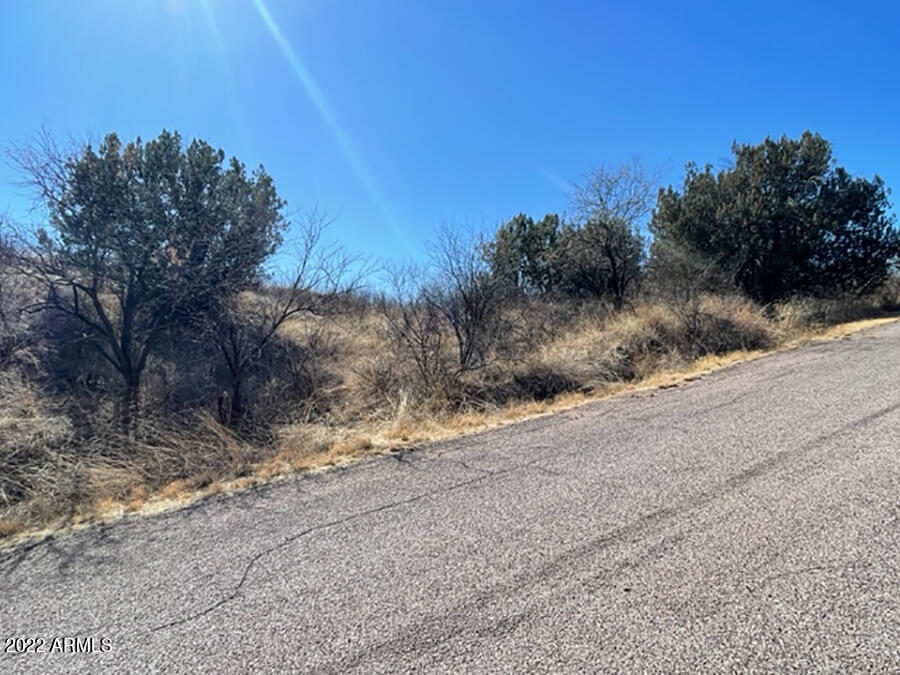205 Calle Ranaculo, Unit 86 Rio Rico, AZ 85648 - Photo 5 of 6 along the road