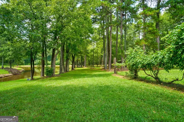 a view of a park with a tree