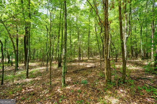 $1,395,000 | 3471 Macon Highway, Watkinsville, GA 30677