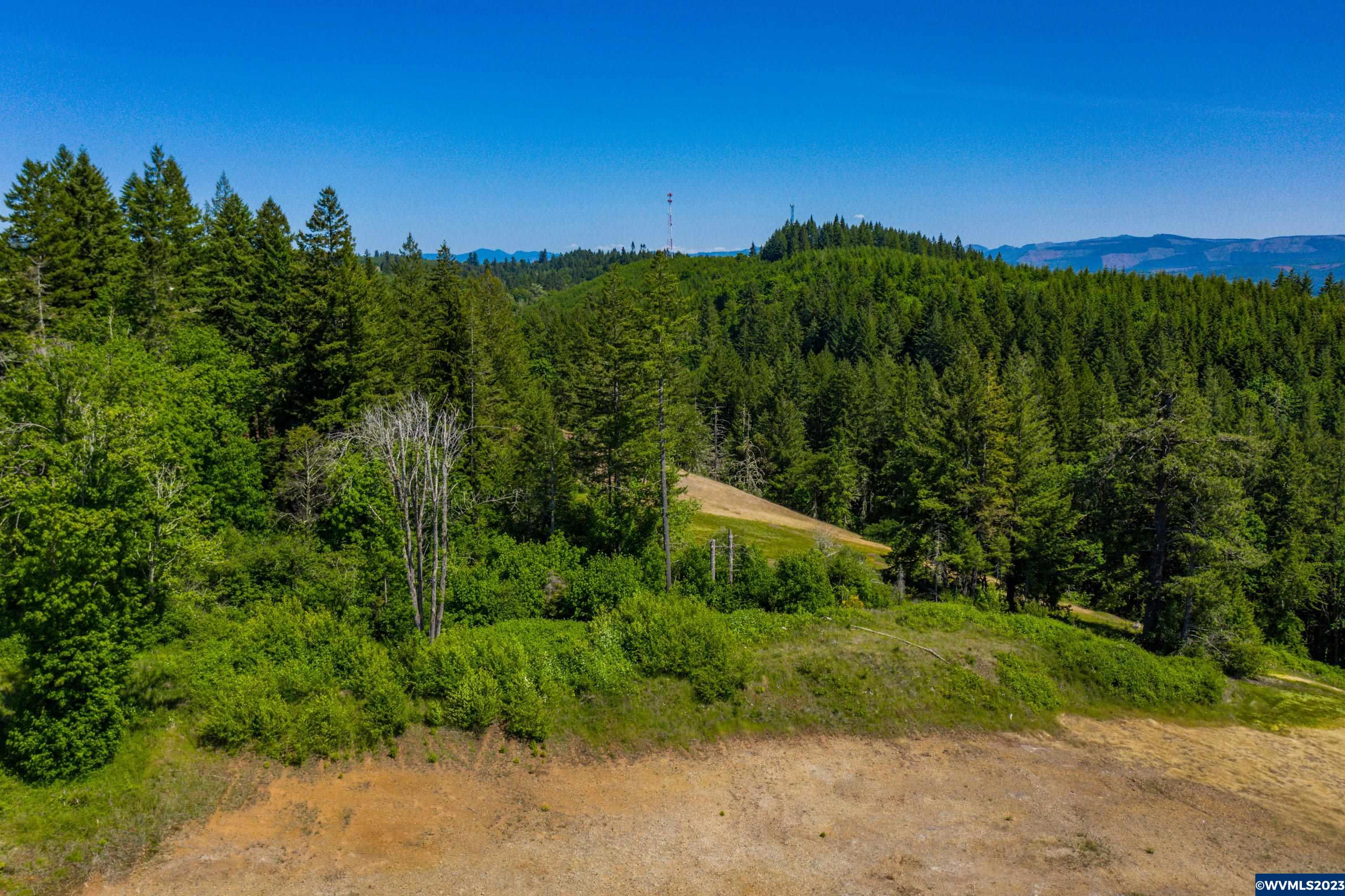 Marks Ridge Sweet Home, OR 97386 - Photo 17 of 32