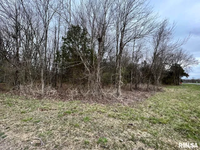 a view of outdoor space with trees