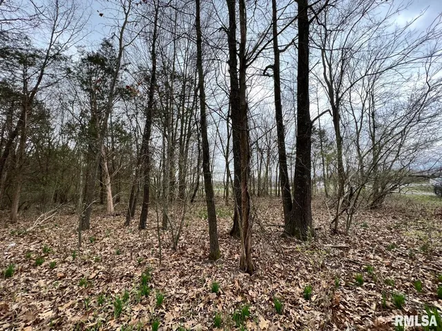 a view of outdoor space with lots of trees