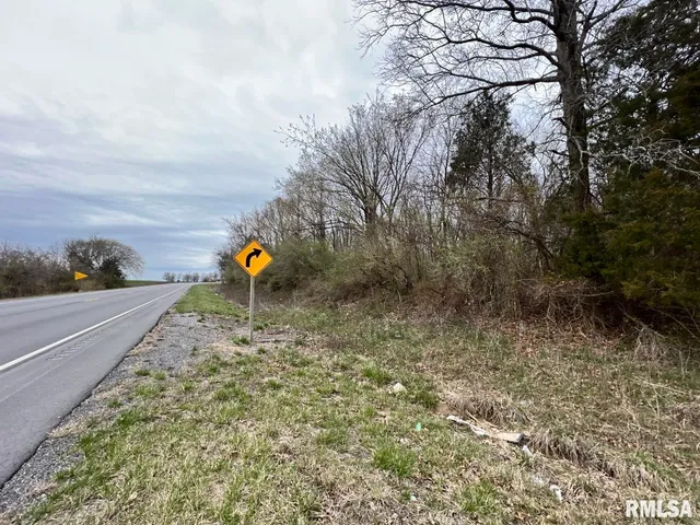 a view of a field with trees in the background