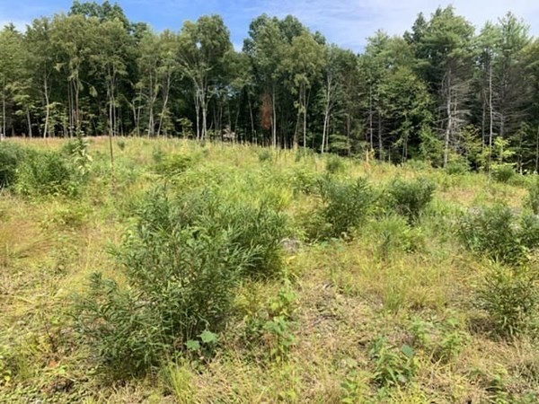 151 W Road Bernardston, MA 01337 - Photo 5 of 6 Gallery Image 5