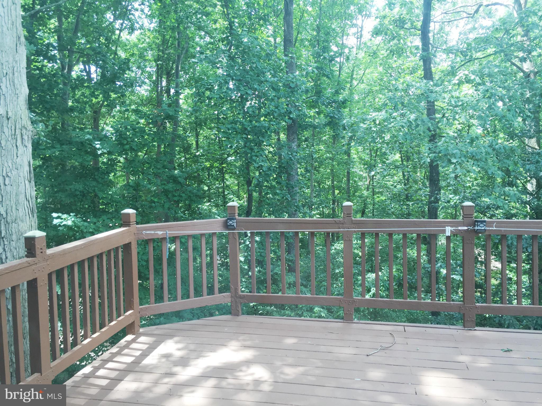 32 Tarleton Way Stafford, VA 22554 - Photo 7 of 21 Exterior (Rear)
