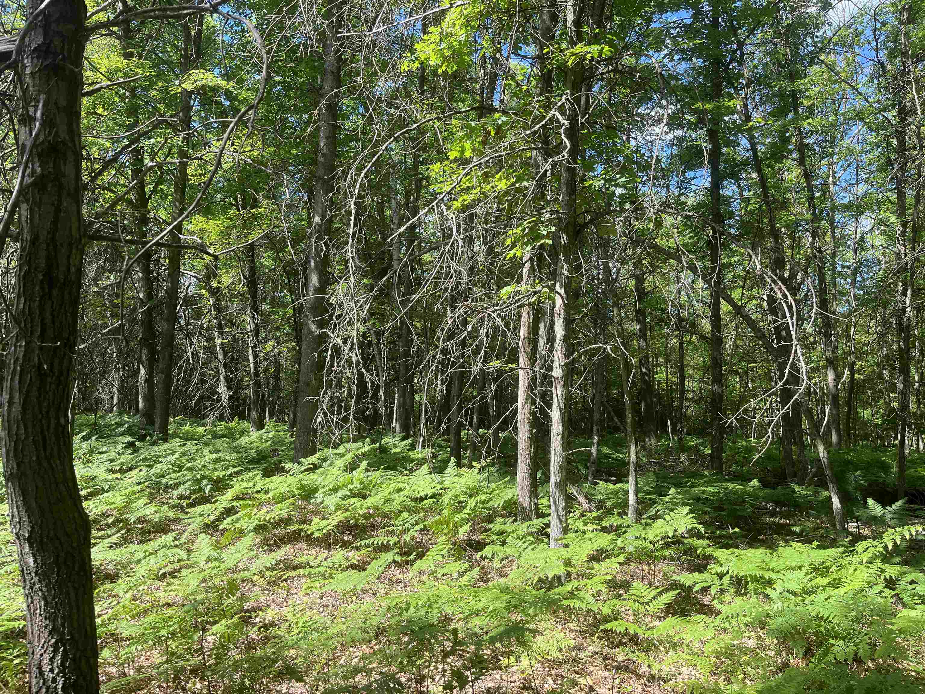 Nka Washington Road Omer, MI 48749 - Photo 15 of 16 1947386-5f6d3d21-bb18-44f6-bca1-79559b31ae55.JPG