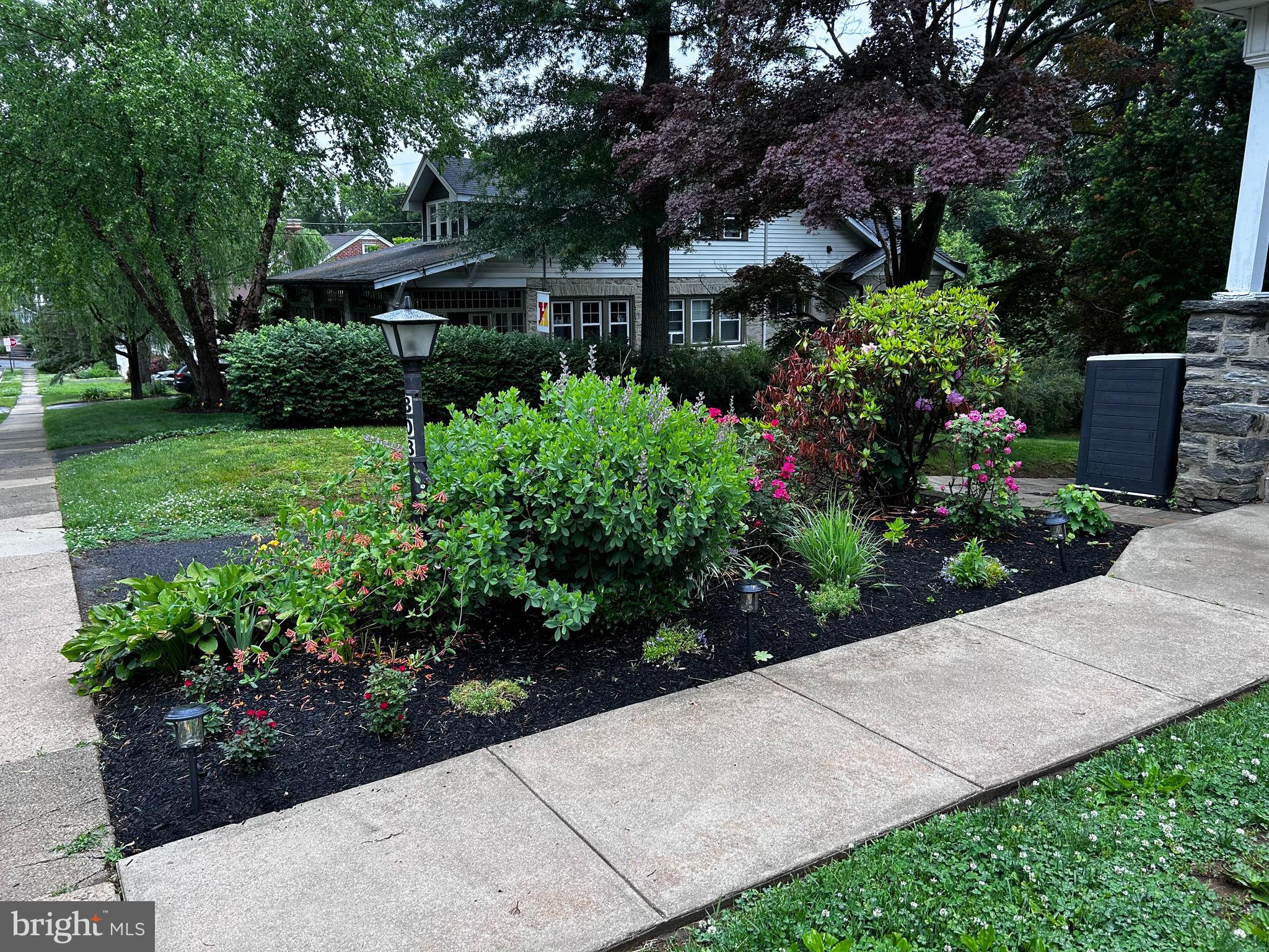 803 Grove Place Havertown, PA 19083 - Photo 3 of 35