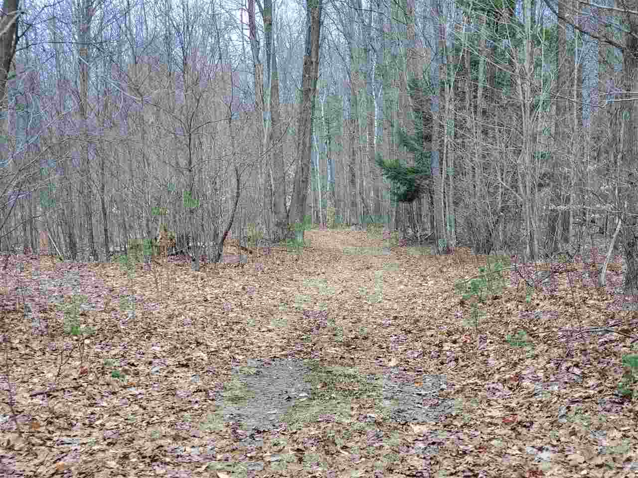 12262 Kerry Road Brethren, MI 49619 - Photo 64 of 95 1885414-63.JPG