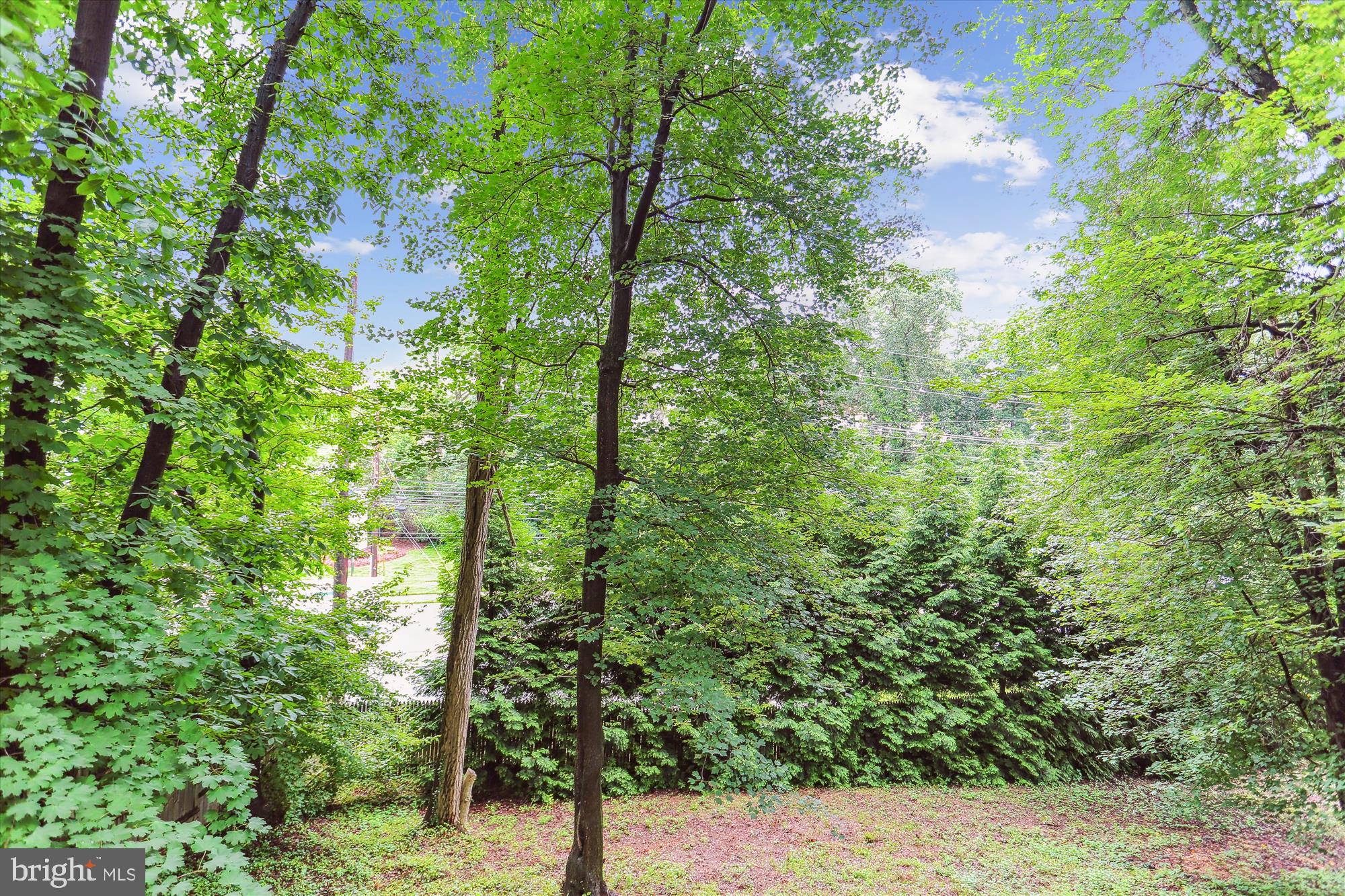 4 Eaglebrook Court Rockville, MD 20854 - Photo 72 of 83 a view of a street with a tree