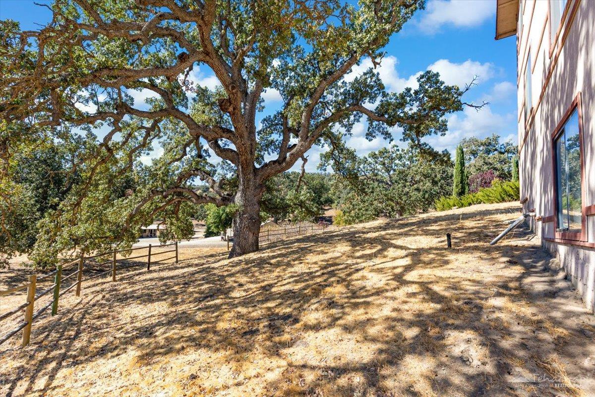 23525 Timberline Way Tehachapi, CA 93561 - Photo 35 of 42 Gallery Image 35