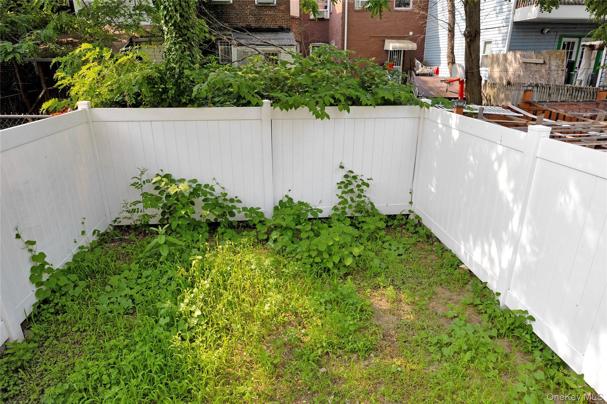 164-15 104th Road Queens, NY 11433 - Photo 20 of 22 yard