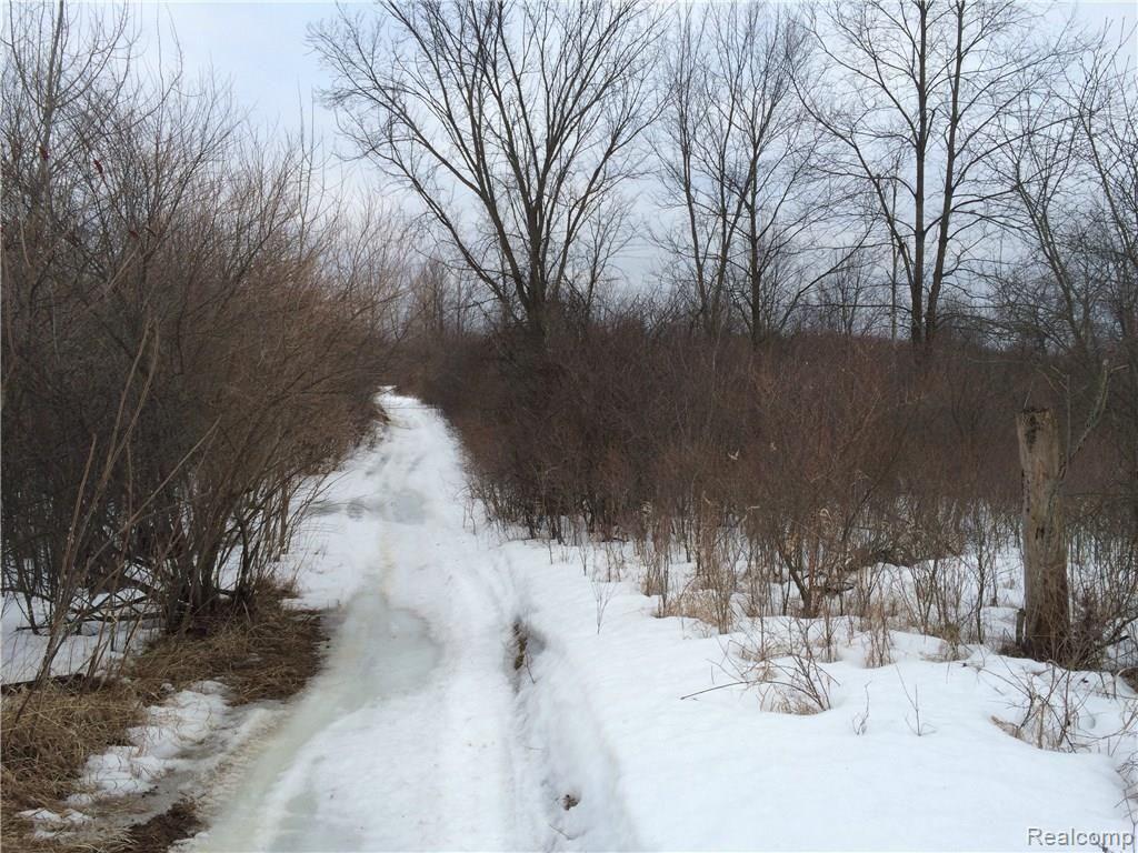 0 Gregory Road Lake Orion, MI 48359 - Photo 6 of 19 image.jpg