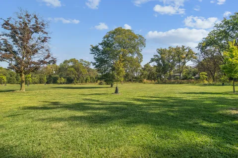 a view of a green field