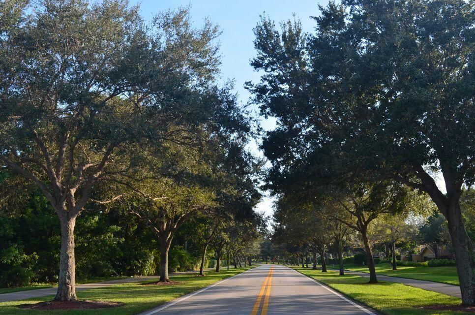 11781 Timbers Way Boca Raton, FL 33428 - Photo 3 of 51 Tree Lined Streets