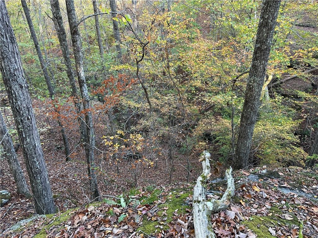 1806 Browning Road Rockmart, GA 30153 - Photo 86 of 97