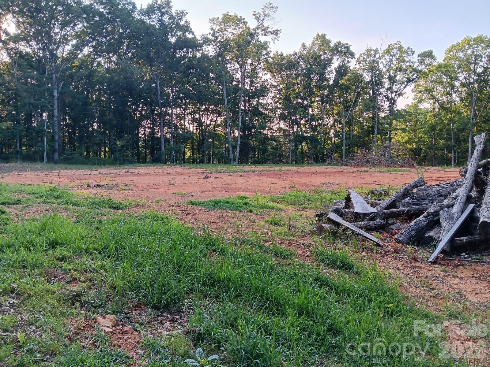 11610 Brief Road, Unit 2 Charlotte, NC 28227 - Photo 13 of 16 a view of a backyard with plants and trees