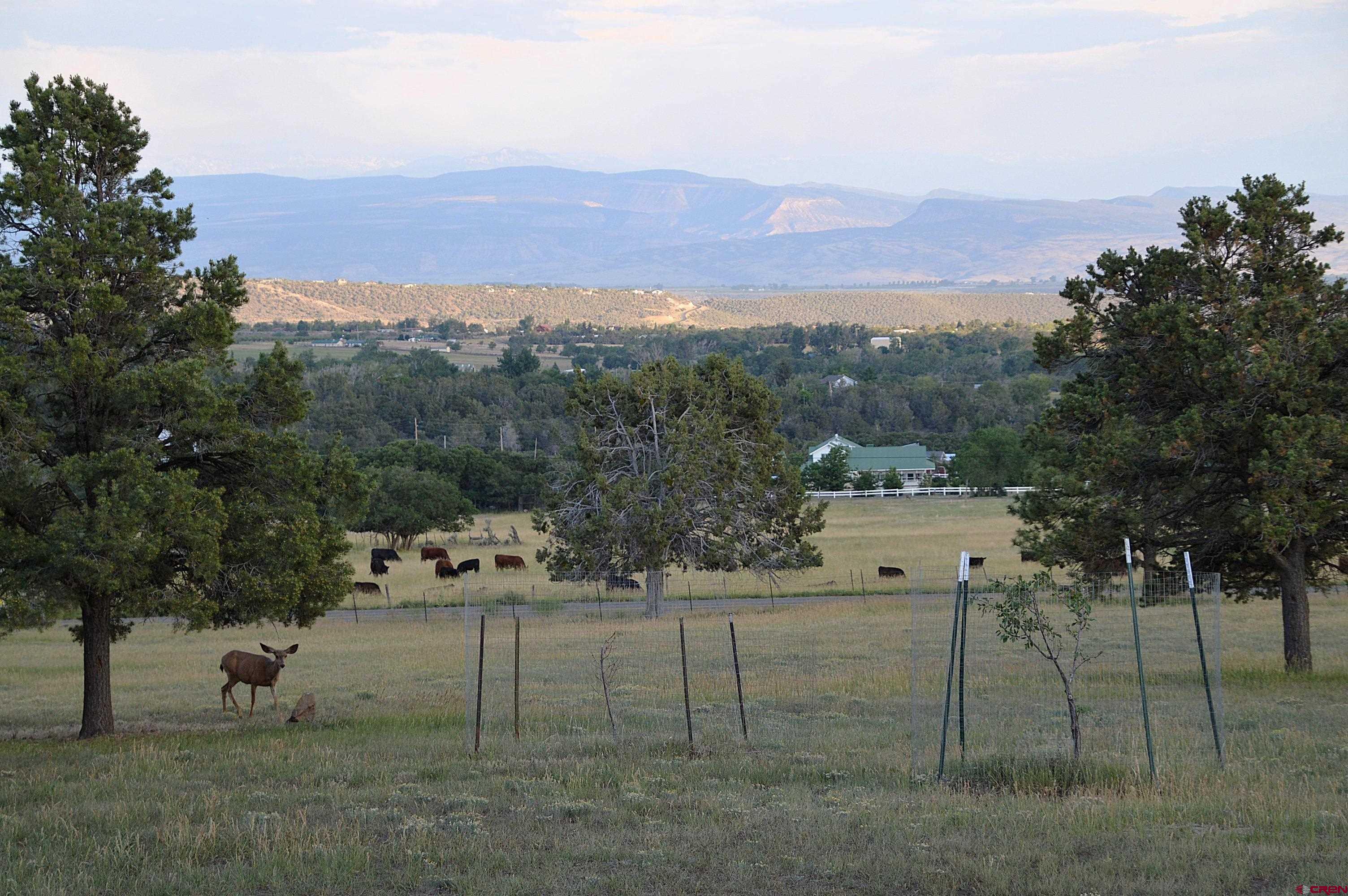 22755 Uintah Road Cedaredge, CO 81413 - Photo 14 of 21 a view of a terrace with a bench