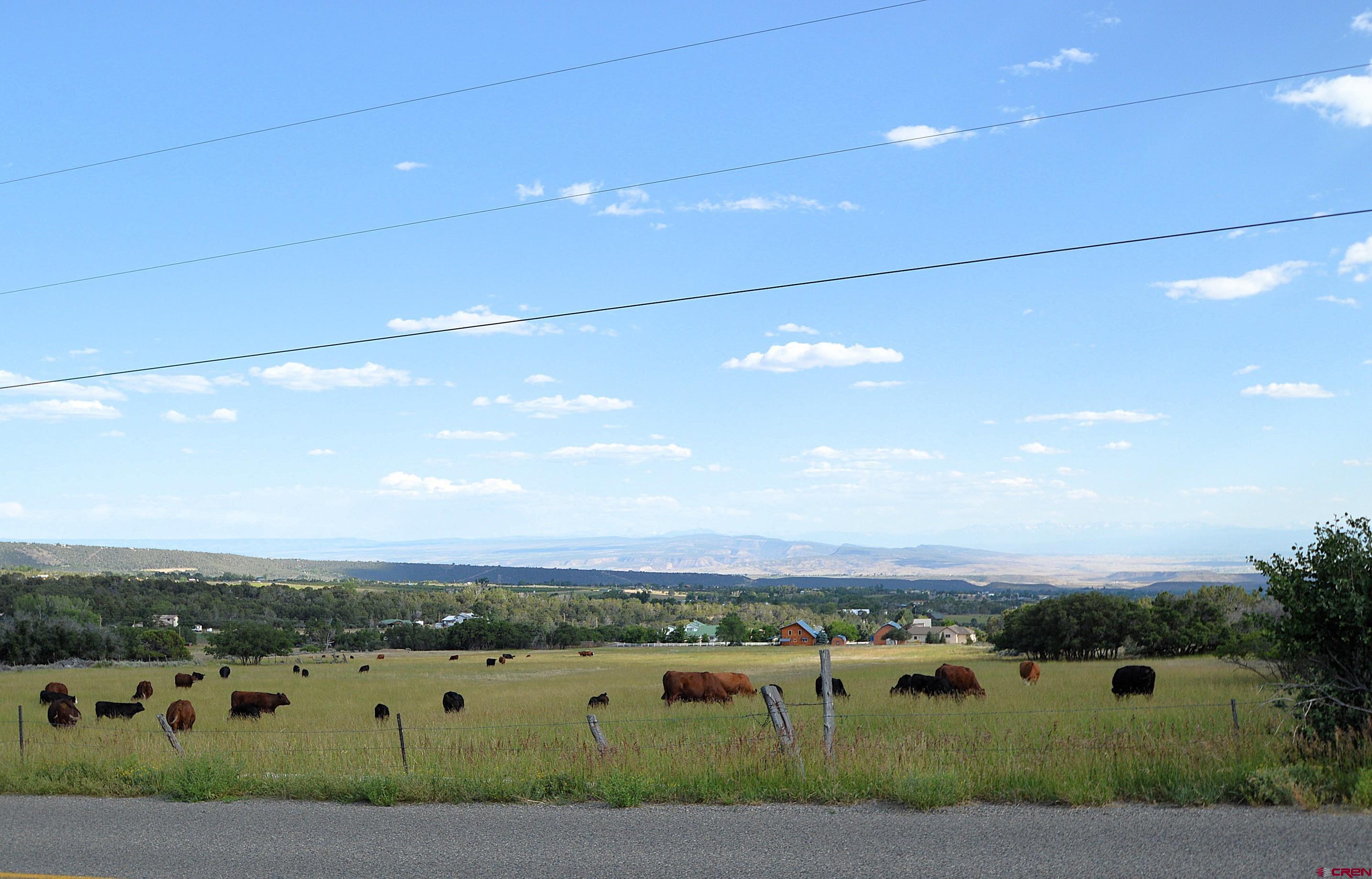 22755 Uintah Road Cedaredge, CO 81413 - Photo 15 of 21 an aerial view of multiple house