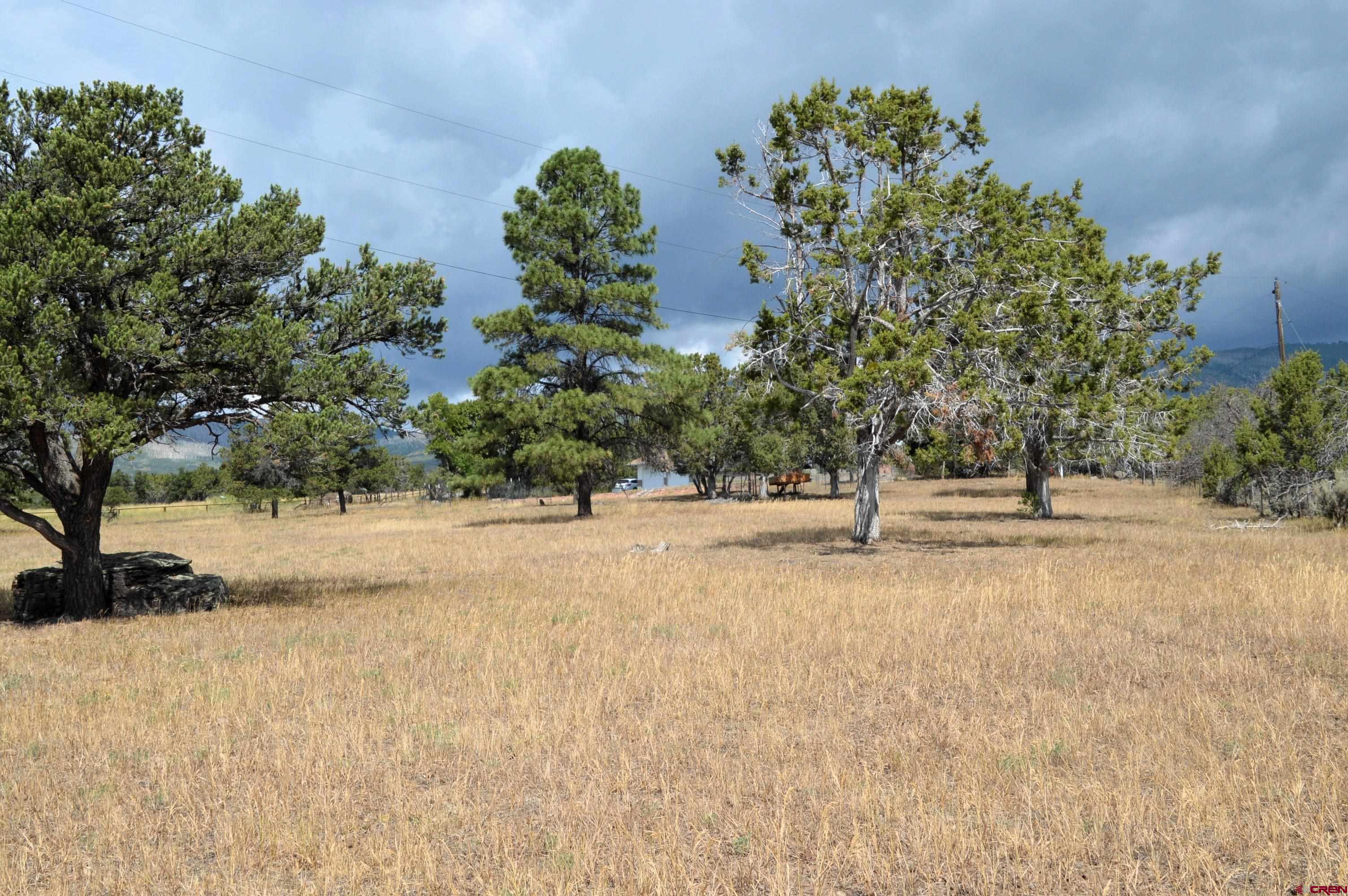 22755 Uintah Road Cedaredge, CO 81413 - Photo 21 of 21 a view of a yard with a tree