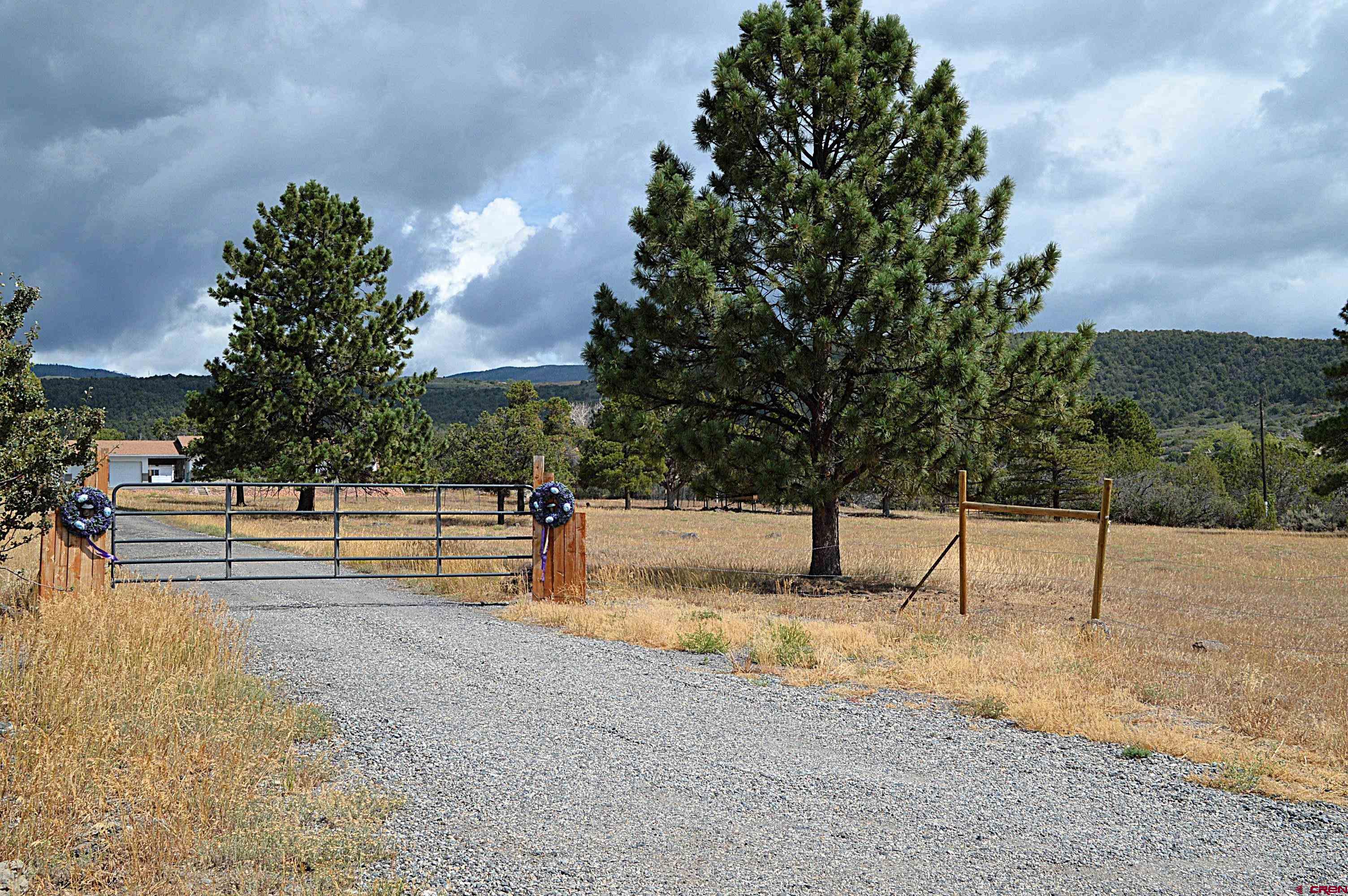 22755 Uintah Road Cedaredge, CO 81413 - Photo 4 of 21 a view of outdoor space with garden