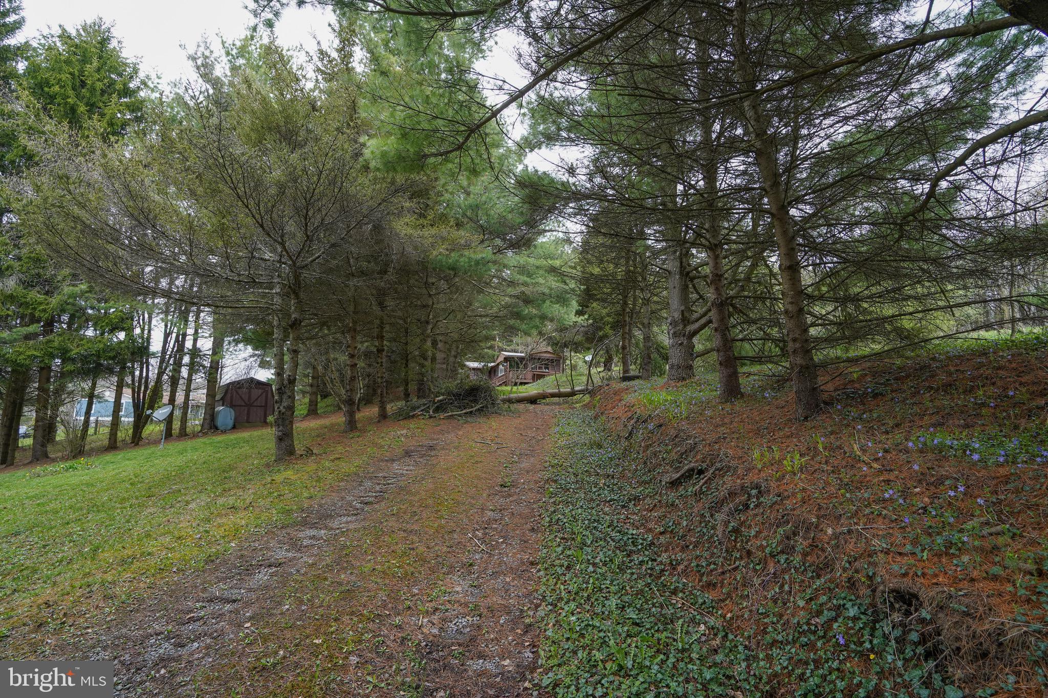 633 Spring Glade Road Oakland, MD 21550 - Photo 17 of 46