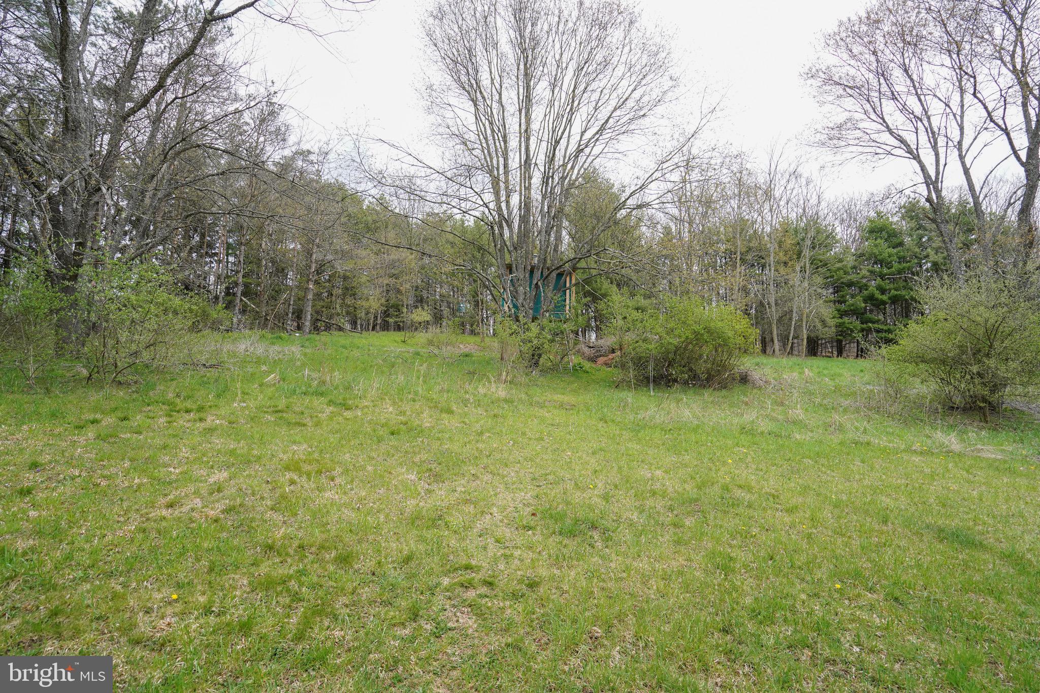 633 Spring Glade Road Oakland, MD 21550 - Photo 43 of 46