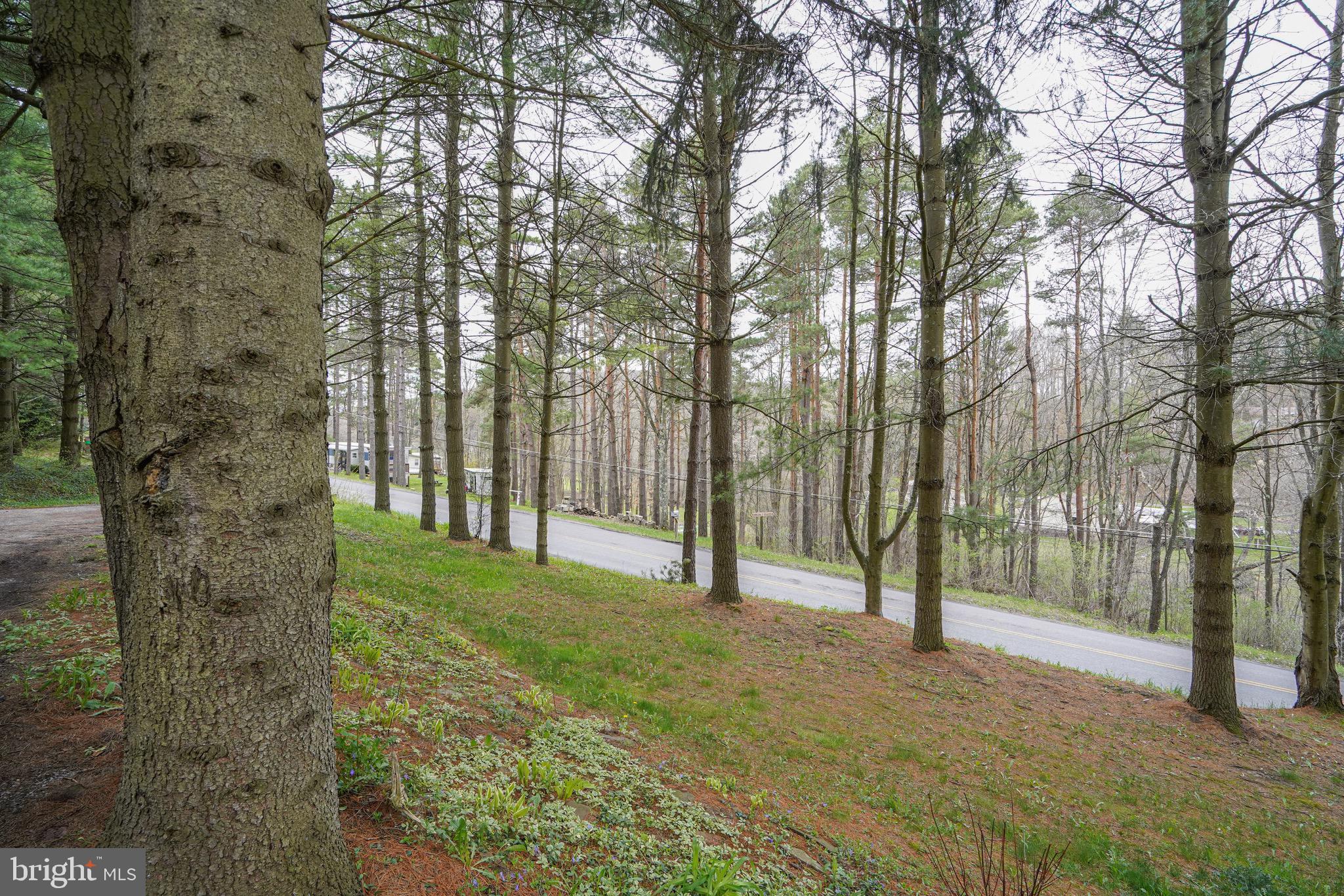 633 Spring Glade Road Oakland, MD 21550 - Photo 6 of 46