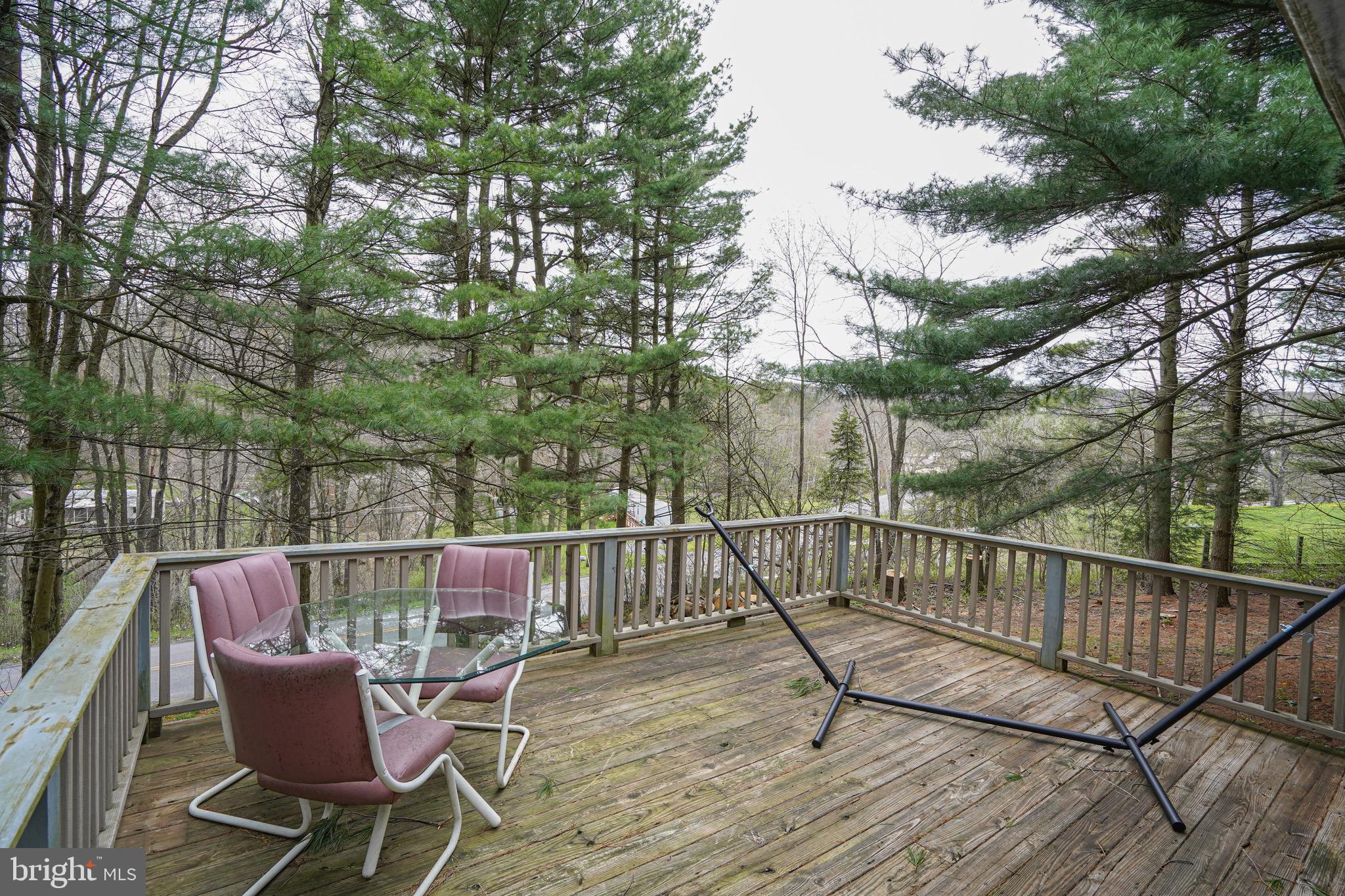 633 Spring Glade Road Oakland, MD 21550 - Photo 7 of 46