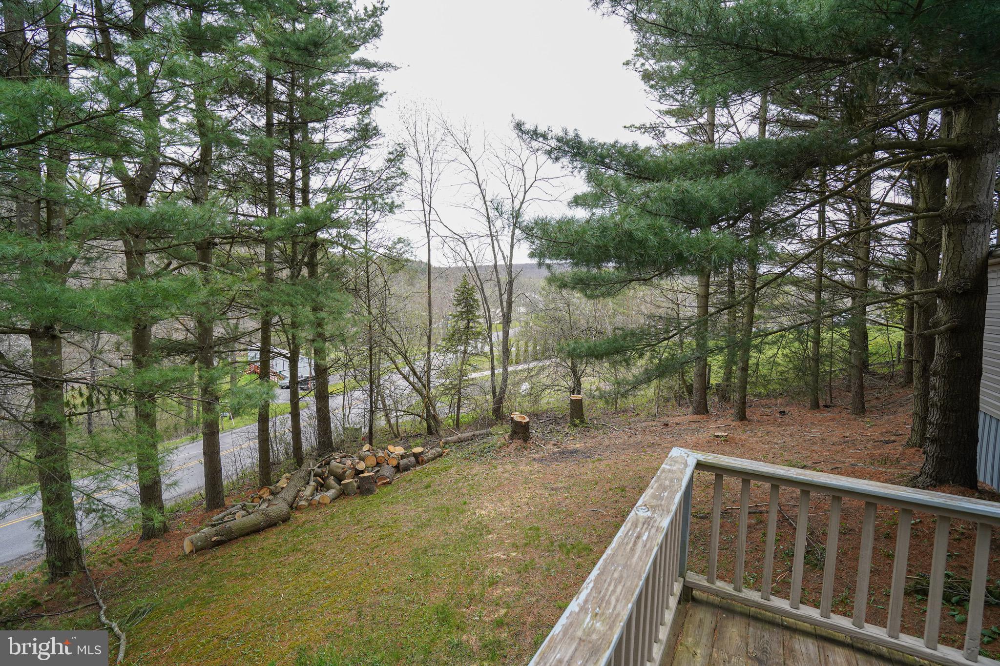 633 Spring Glade Road Oakland, MD 21550 - Photo 8 of 46