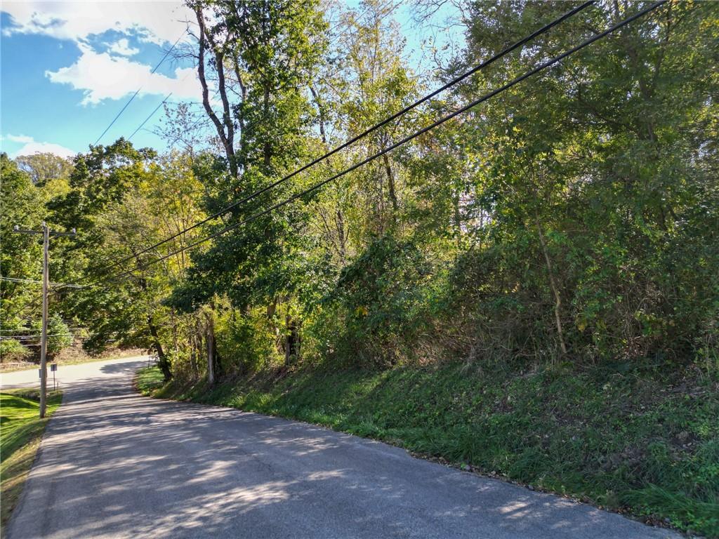 3400 Conway Wallrose Road Sewickley, PA 15143 - Photo 12 of 14 a view of a yard with plants and trees