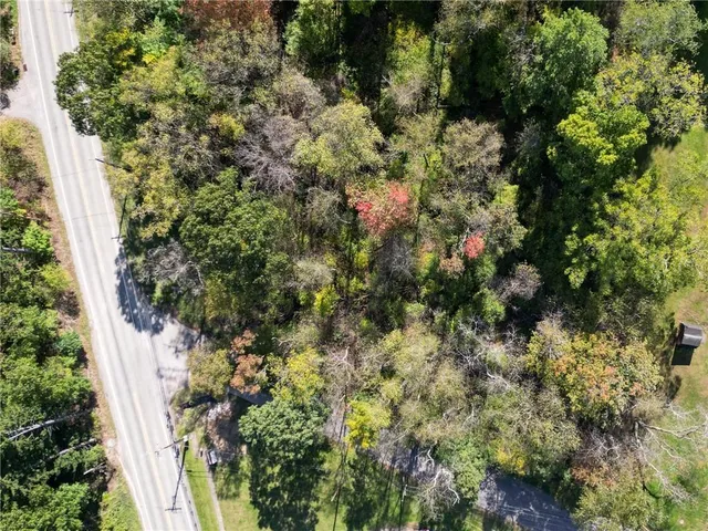 a view of a plant in a garden