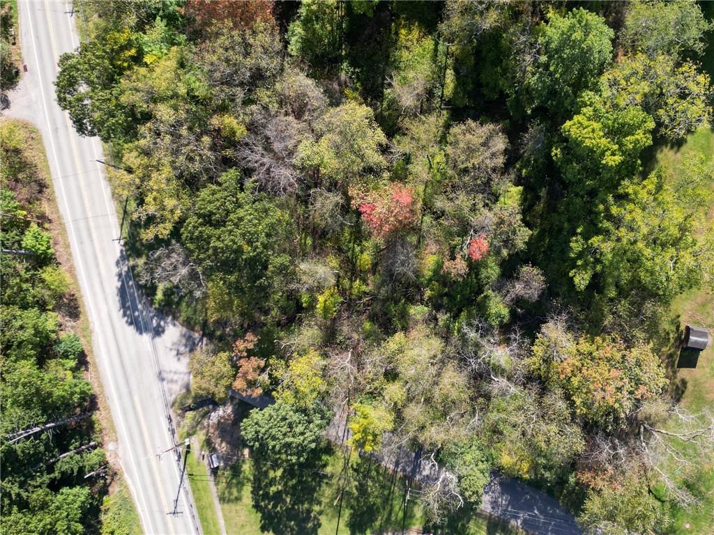 3400 Conway Wallrose Road Sewickley, PA 15143 - Photo 4 of 14 a view of a plant in a garden