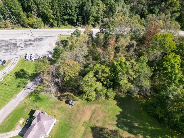 a view of a yard with plants and large trees