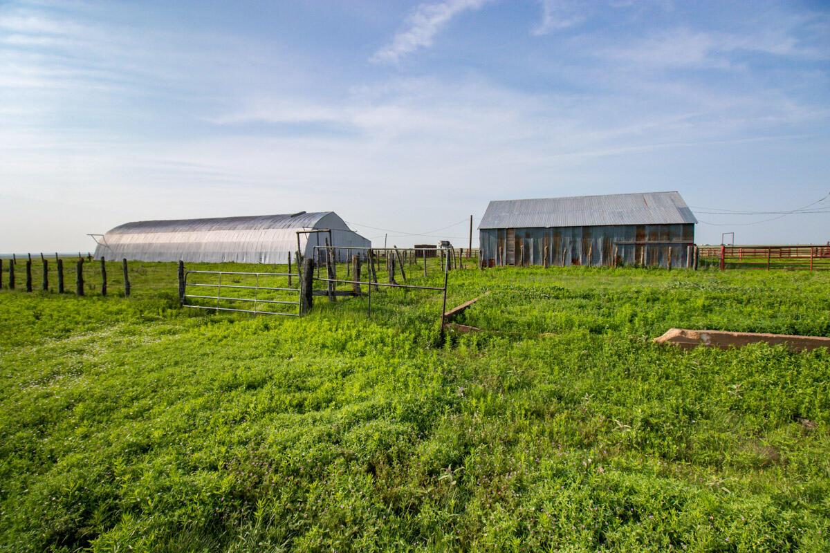 Bean Ranch Miami, TX 79059 - Photo 17 of 50 Bean_Ranch_030_Pens