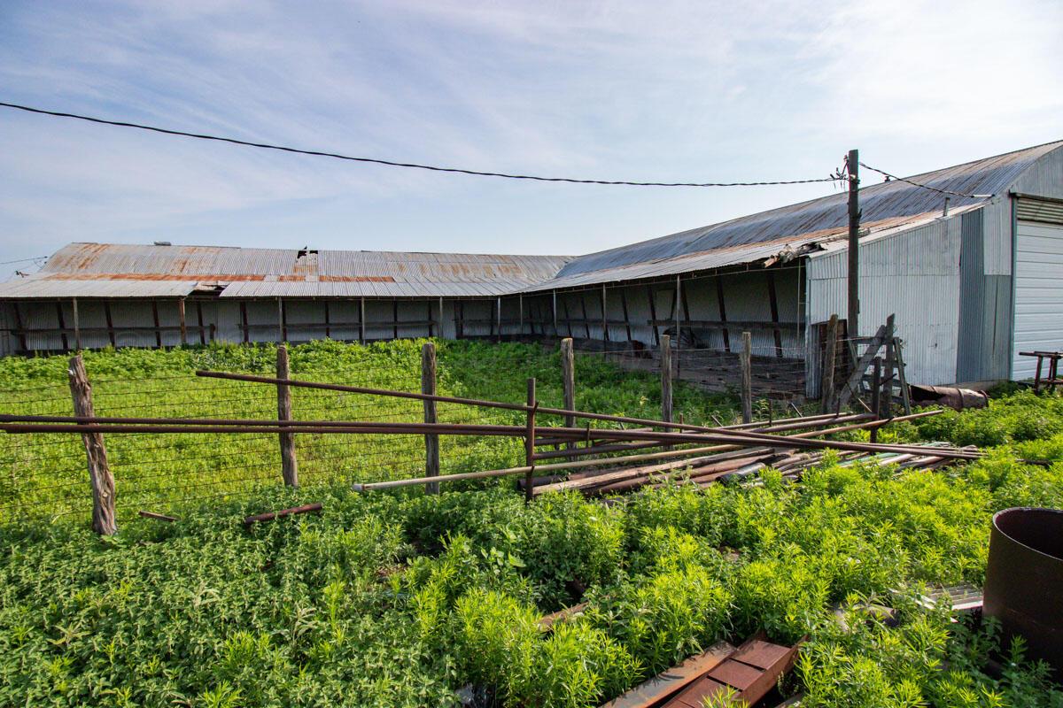 Bean Ranch Miami, TX 79059 - Photo 21 of 50 Bean_Ranch_034_Barm