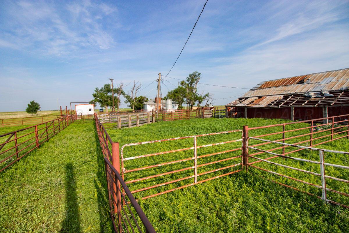 Bean Ranch Miami, TX 79059 - Photo 24 of 50 Bean_Ranch_037_Pens