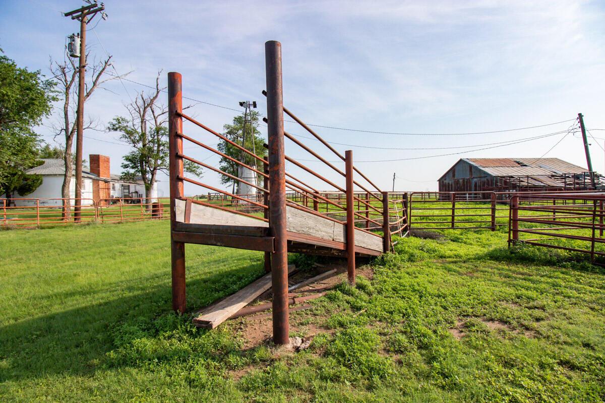 Bean Ranch Miami, TX 79059 - Photo 26 of 50 Bean_Ranch_039_Loading_Chute