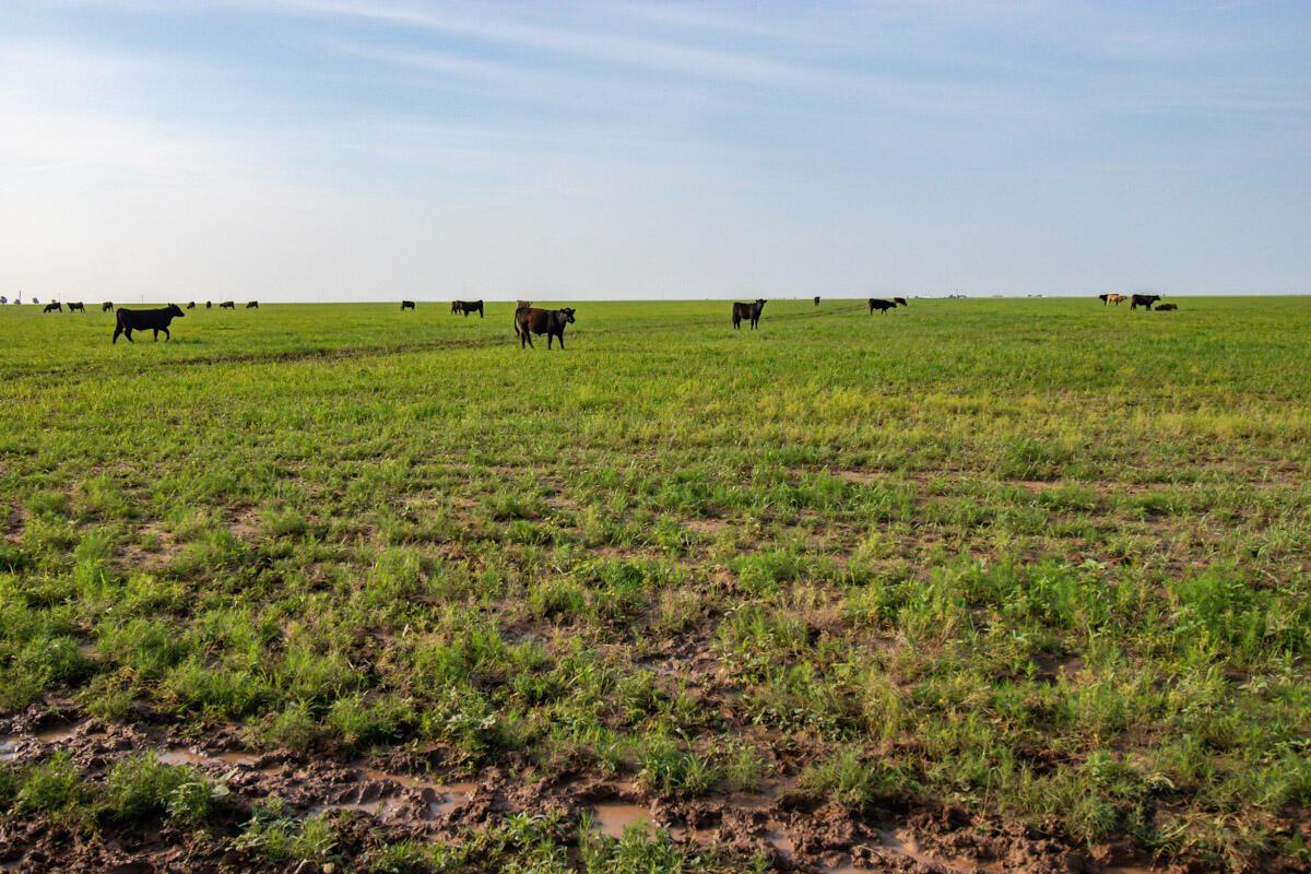 Bean Ranch Miami, TX 79059 - Photo 3 of 50 Bean_Ranch_002_Land