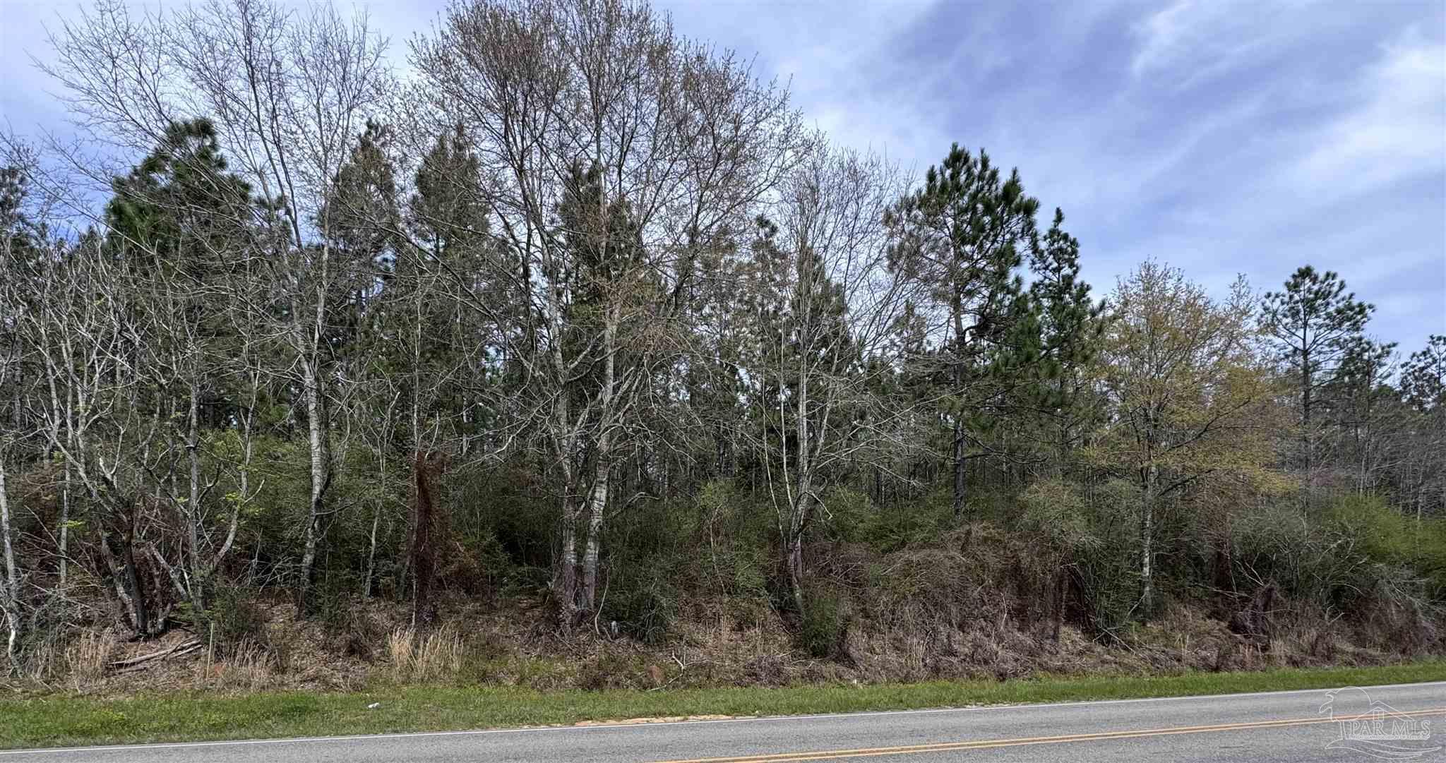 0 Butler Street Atmore, AL 36502 - Photo 1 of 4 a view of a yard