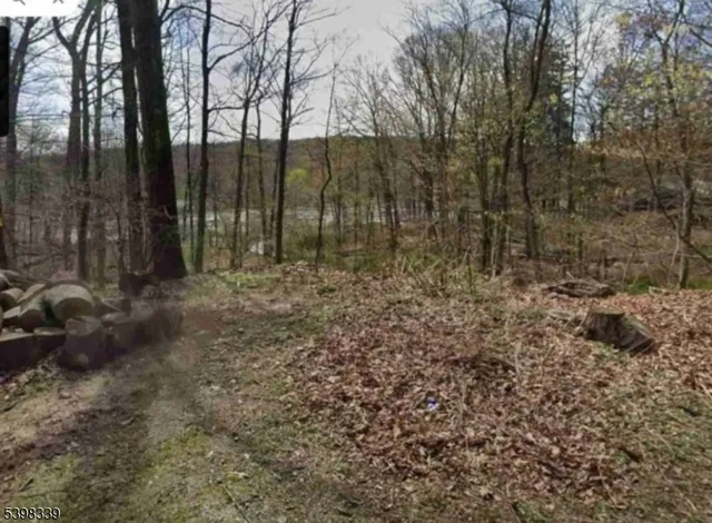 a view of backyard with green space