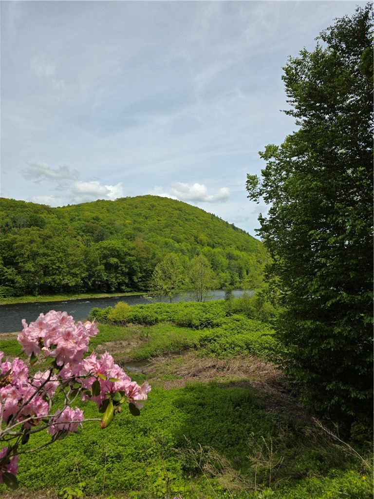455 Peas Eddy Road Hancock, NY 13783 - Photo 25 of 28