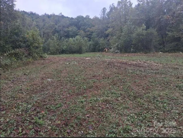 a view of a field with trees in background