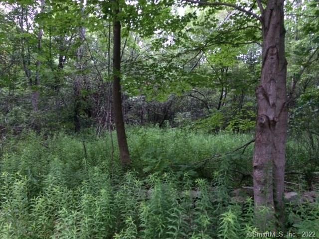 999 Hageman Shean Road Goshen, CT 06756 - Photo 1 of 1 Gallery Image 1