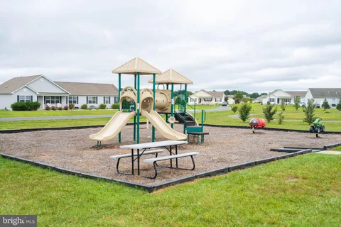 a view of a park with a big yard