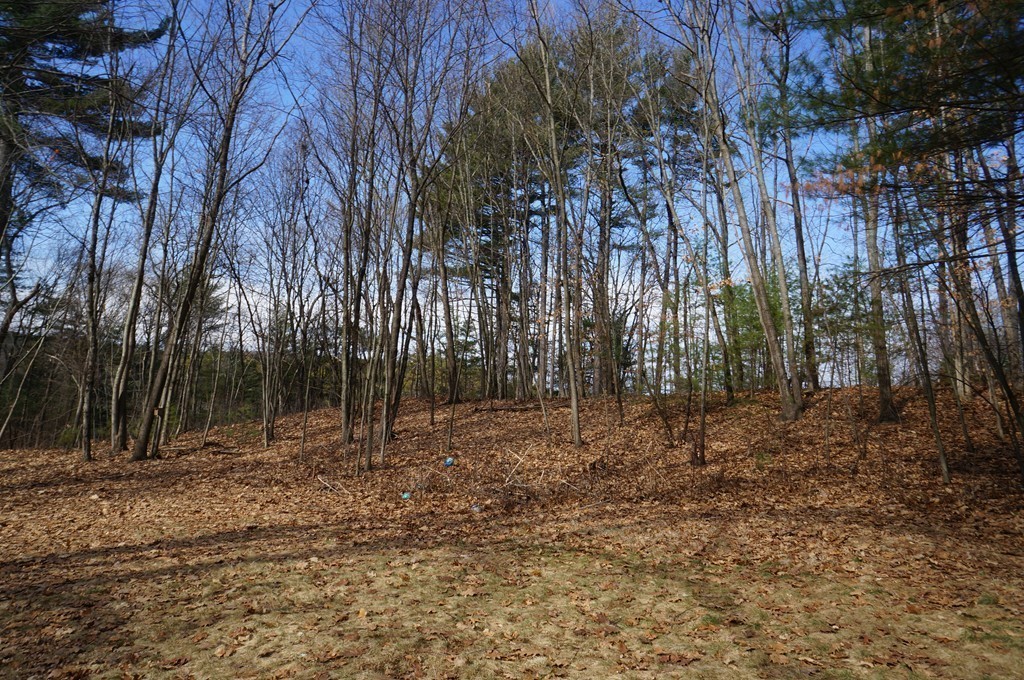 75 Hiley Brook Road Stow, MA 01775 - Photo 19 of 20