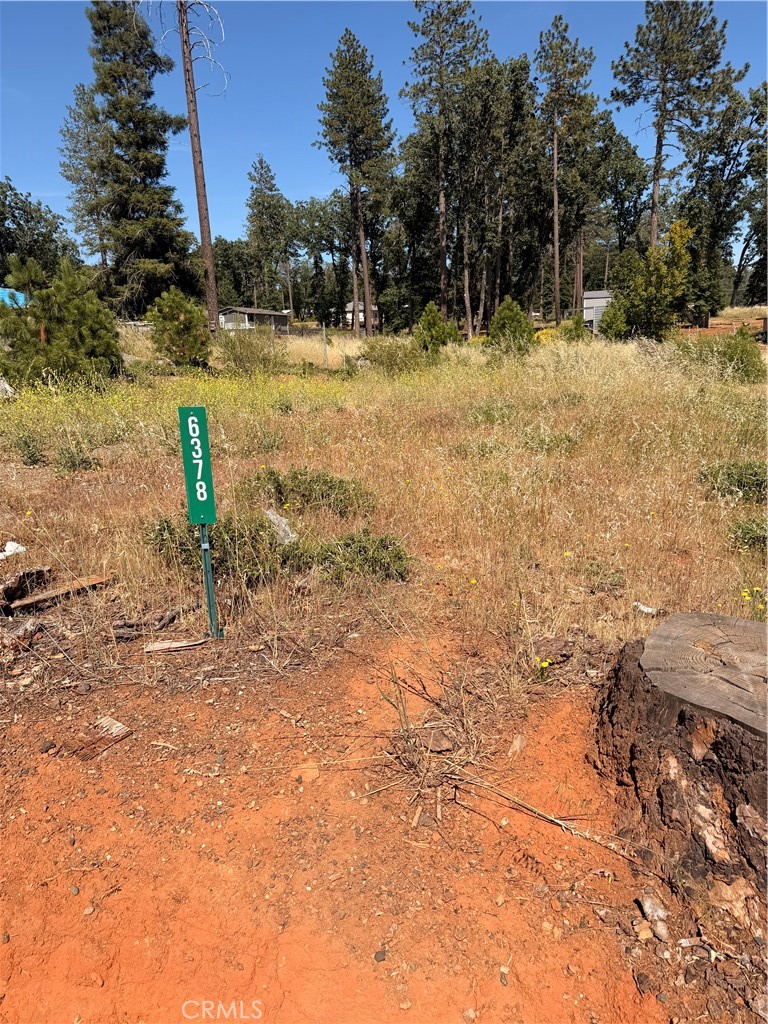6378 Lucky John Road Paradise, CA 95969 - Photo 5 of 9
