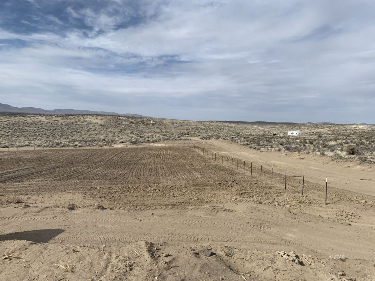 6675 Tyler Avenue Elko, NV 89801 - Photo 10 of 17