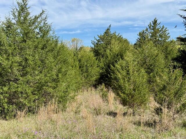 4515 Wallen Road Summersville, MO 65571 - Photo 73 of 74 IMG_5384