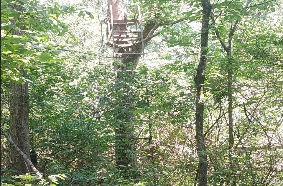 0 Silver Creek Road Alhambra, IL 62001 - Photo 14 of 23